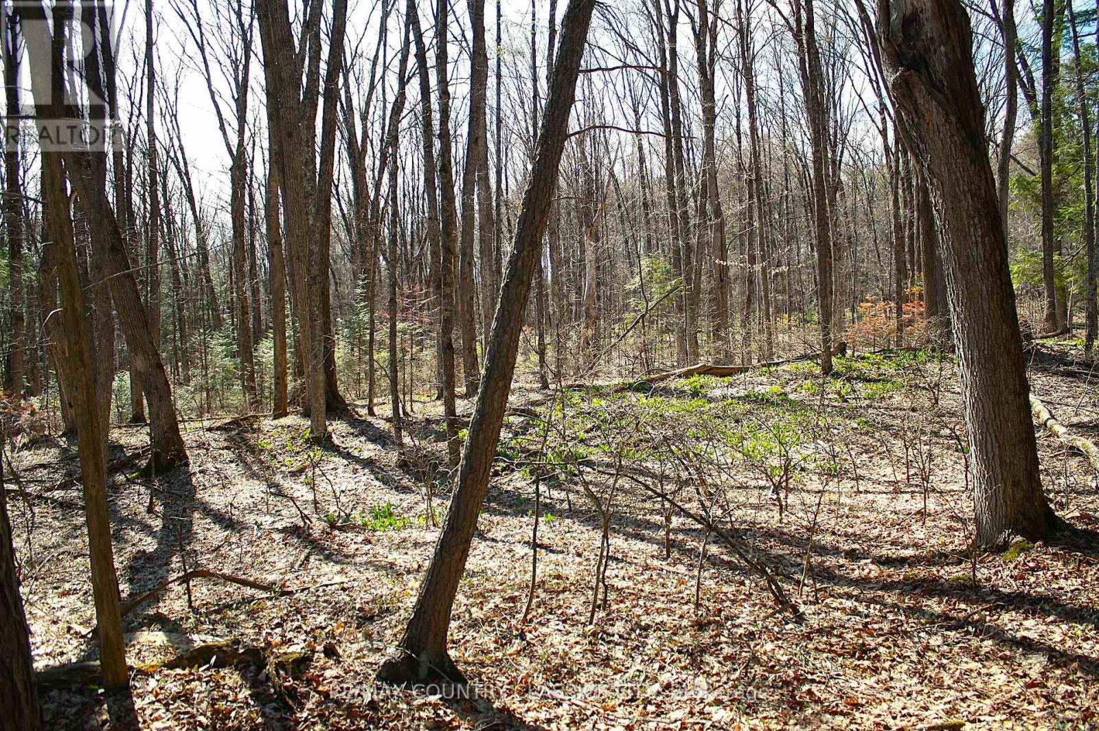 5192 Hwy 620, Wollaston, Ontario  K0L 1P0 - Photo 38 - X13042012