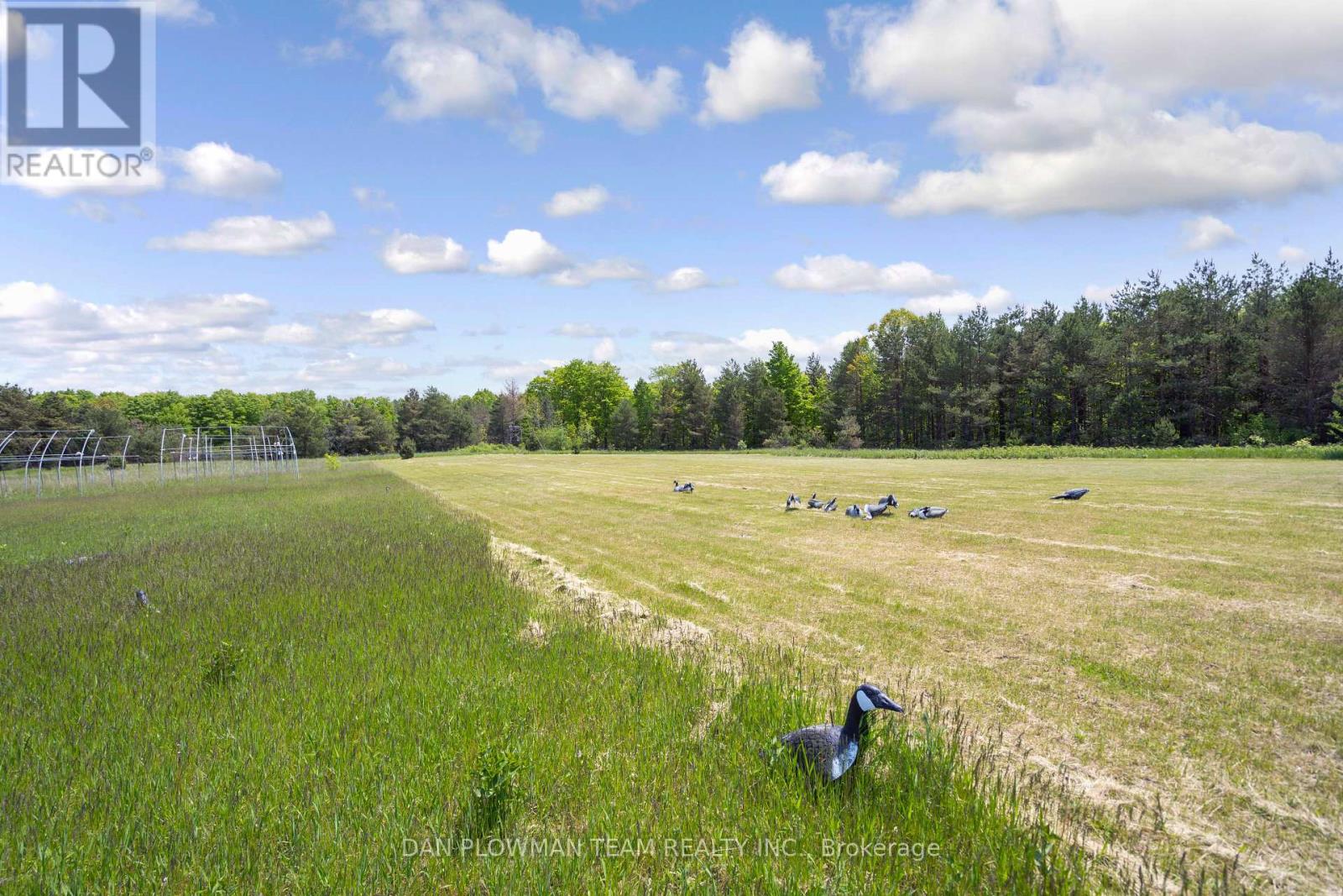 3221 Regional Road 20 Road, Clarington, Ontario  L0A 1K0 - Photo 15 - E13047626