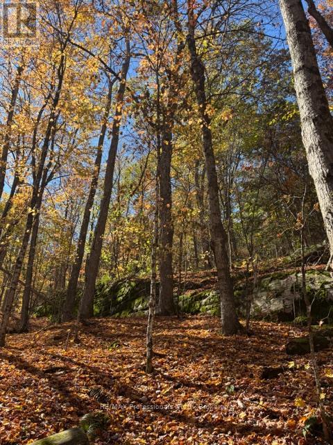 1231 Big Hawk Lake Road, Algonquin Highlands, Ontario  K0M 1J2 - Photo 15 - X13029262