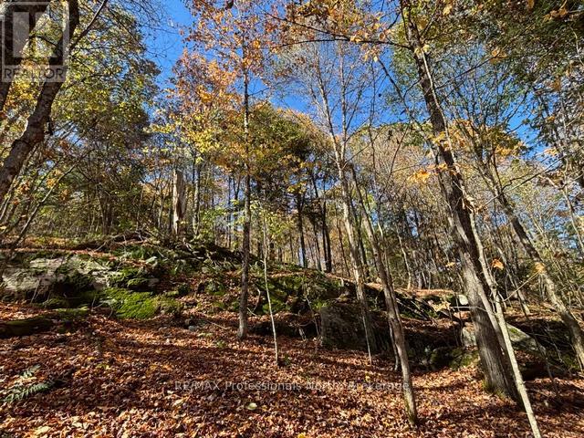 1231 Big Hawk Lake Road, Algonquin Highlands, Ontario  K0M 1J2 - Photo 17 - X13029262