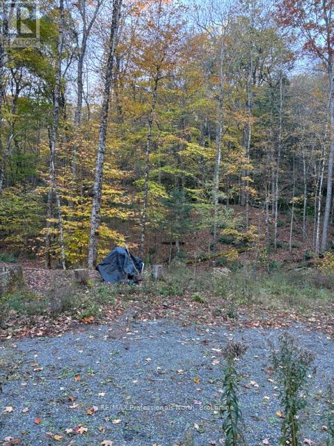 1231 Big Hawk Lake Road, Algonquin Highlands, Ontario  K0M 1J2 - Photo 18 - X13029262