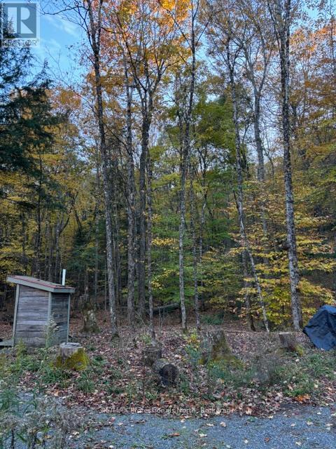 1231 Big Hawk Lake Road, Algonquin Highlands, Ontario  K0M 1J2 - Photo 19 - X13029262