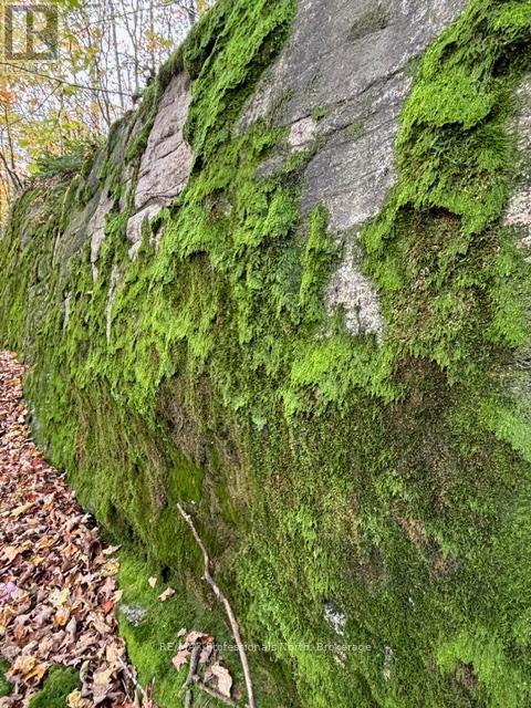 1231 Big Hawk Lake Road, Algonquin Highlands, Ontario  K0M 1J2 - Photo 21 - X13029262