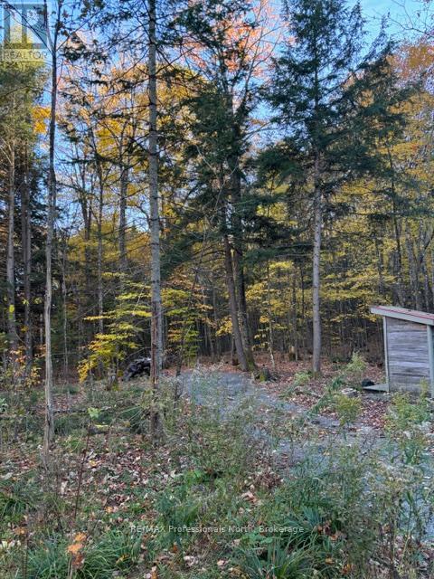 1231 Big Hawk Lake Road, Algonquin Highlands, Ontario  K0M 1J2 - Photo 20 - X13029262