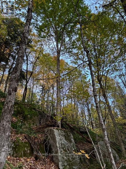 1231 Big Hawk Lake Road, Algonquin Highlands, Ontario  K0M 1J2 - Photo 22 - X13029262