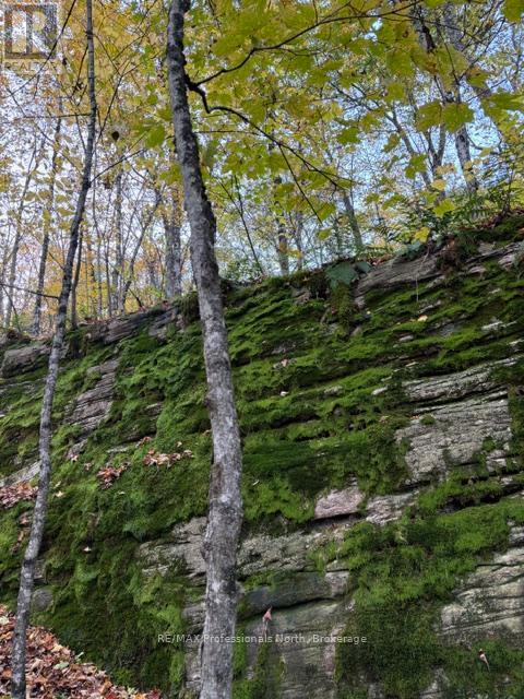 1231 Big Hawk Lake Road, Algonquin Highlands, Ontario  K0M 1J2 - Photo 24 - X13029262