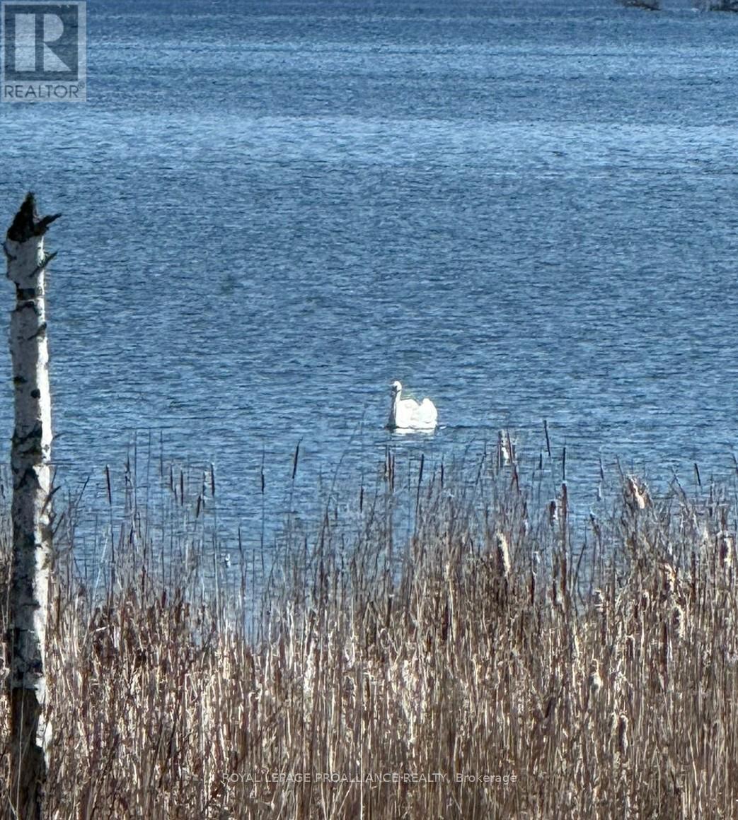 97 Roseland Drive, Quinte West, Ontario  K0K 1L0 - Photo 42 - X12729446