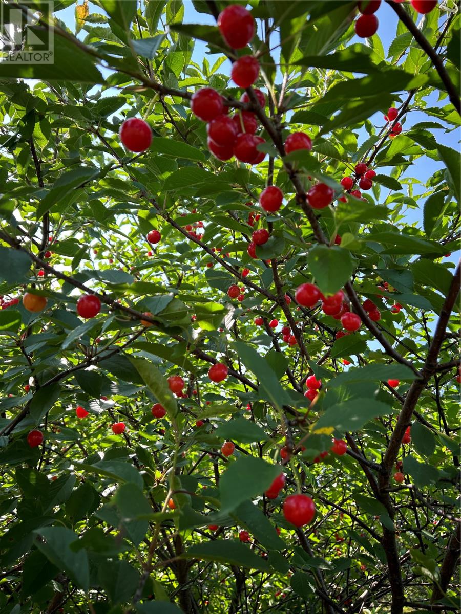 149 Main Road, Halfway Point, Newfoundland & Labrador  A0L 1A0 - Photo 31 - 1296566
