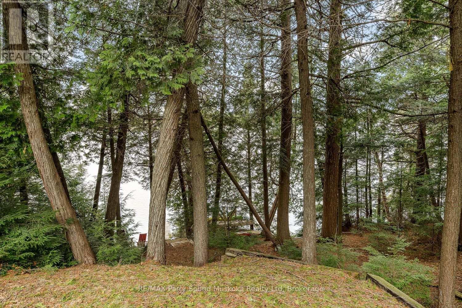 157 Gibson Bay Road, Whitestone, Ontario  P0A 1G0 - Photo 37 - X13047810