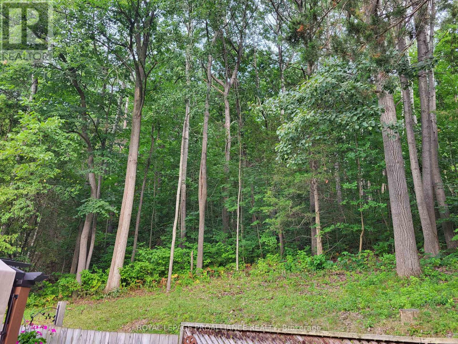 550 Frankford Stirling Road, Quinte West, Ontario  K0K 2C0 - Photo 26 - X12790150