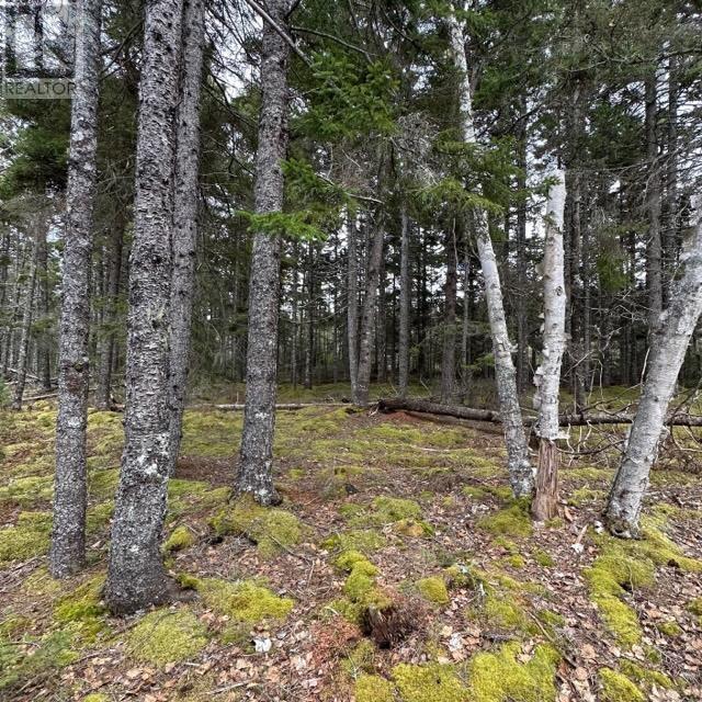 Lot 8 Fire Cove Road, Feltzen South, Nova Scotia  B0J 2X0 - Photo 9 - 202608711