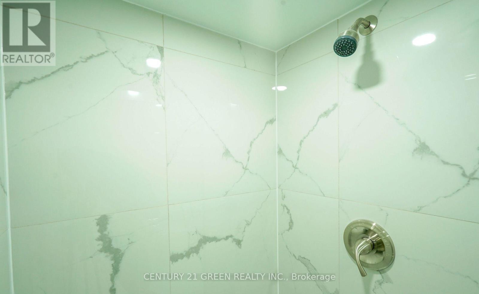 Bsmt - 123 Kingswood Drive, Brampton, Ontario  L6V 2X5 - Photo 13 - W13047824