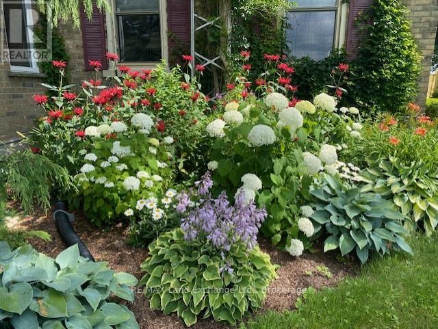 81457 North Line Road, Huron East, Ontario  N0K 1W0 - Photo 27 - X12776330