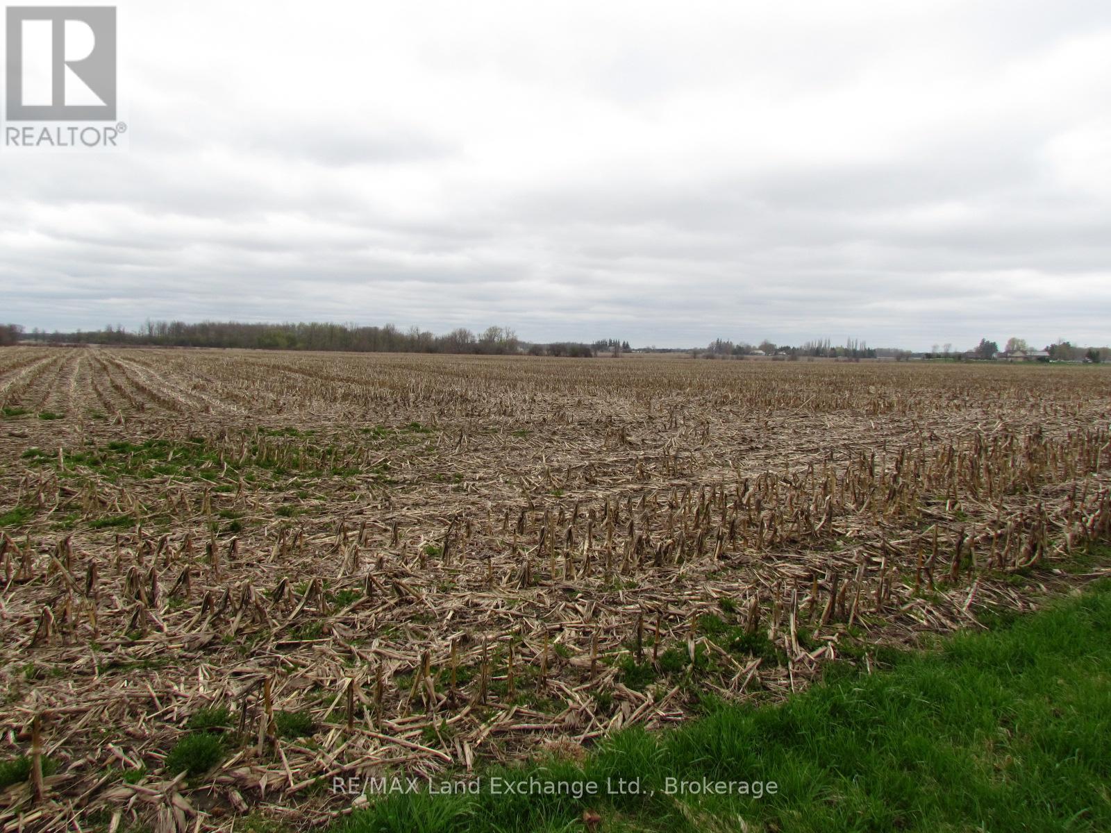81457 North Line Road, Huron East (Seaforth), Ontario  N0K 1W0 - Photo 7 - X12776330