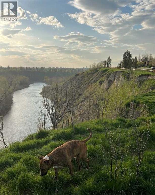 5103 6 Street SW, Calgary, Alberta  T2V 1J6 - Photo 50 - A2301389