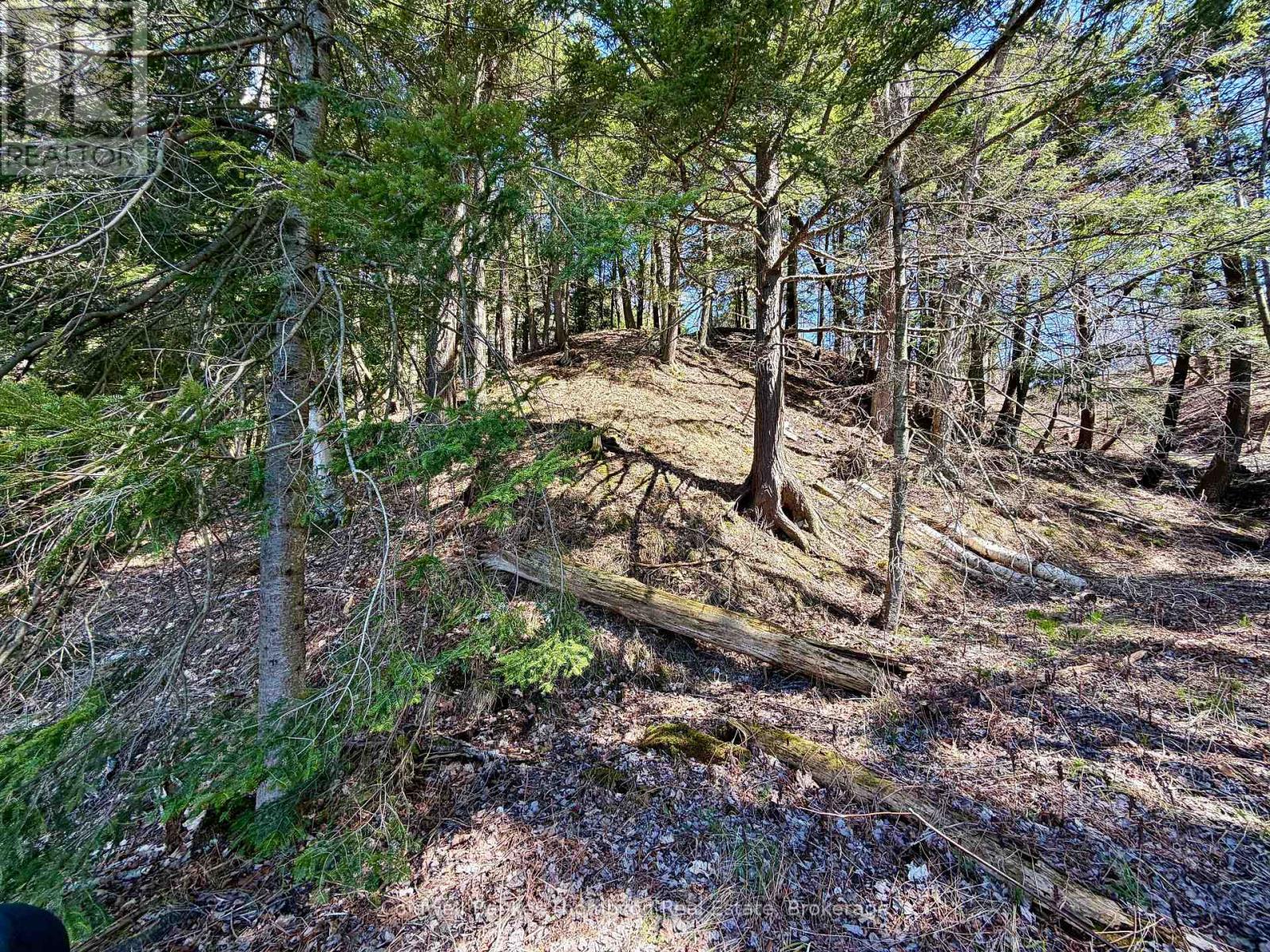 145 Front Street, Bracebridge, Ontario  P1L 1J7 - Photo 39 - X13047944