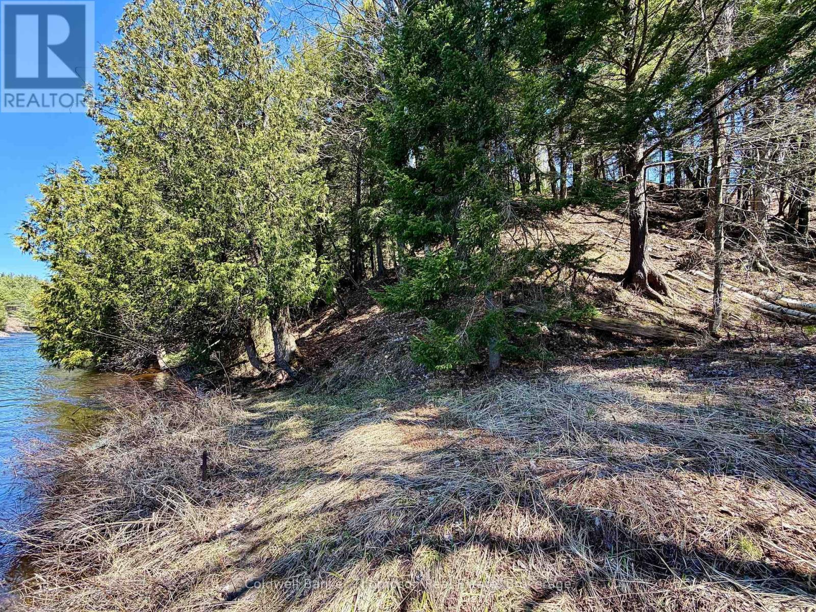 145 Front Street, Bracebridge, Ontario  P1L 1J7 - Photo 4 - X13047944