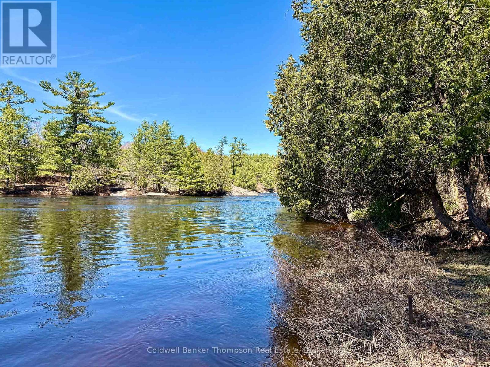 145 Front Street, Bracebridge, Ontario  P1L 1J7 - Photo 5 - X13047944