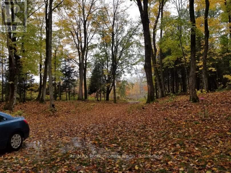 1645 South Lake Road, Minden Hills, Ontario  K0M 2K0 - Photo 10 - X13048122