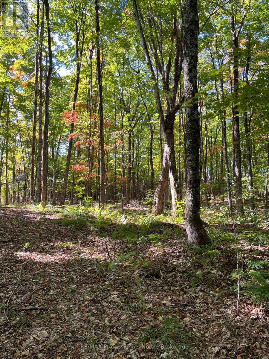 1645 South Lake Road, Minden Hills, Ontario  K0M 2K0 - Photo 11 - X13048122