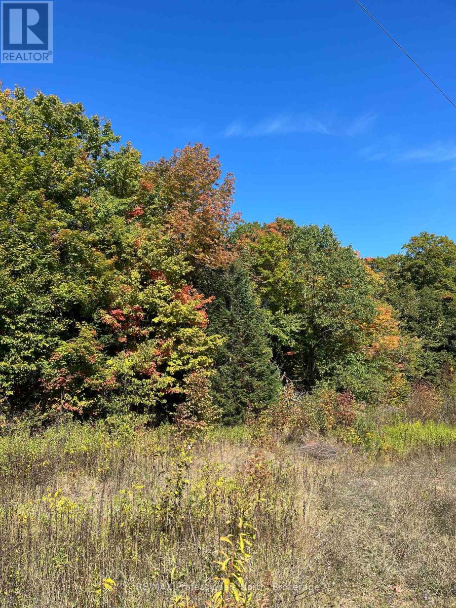 1645 South Lake Road, Minden Hills, Ontario  K0M 2K0 - Photo 12 - X13048122