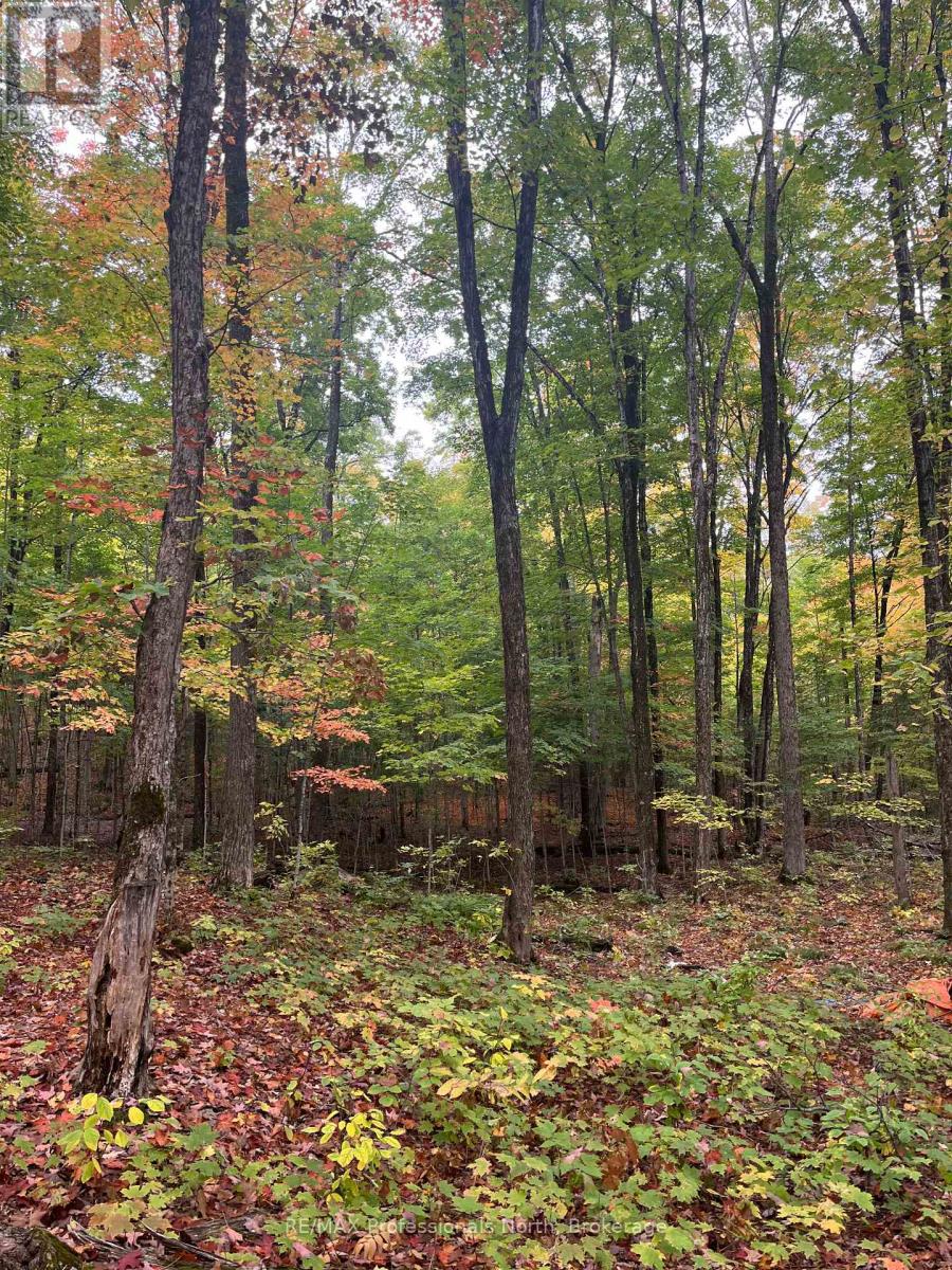 1645 South Lake Road, Minden Hills, Ontario  K0M 2K0 - Photo 14 - X13048122