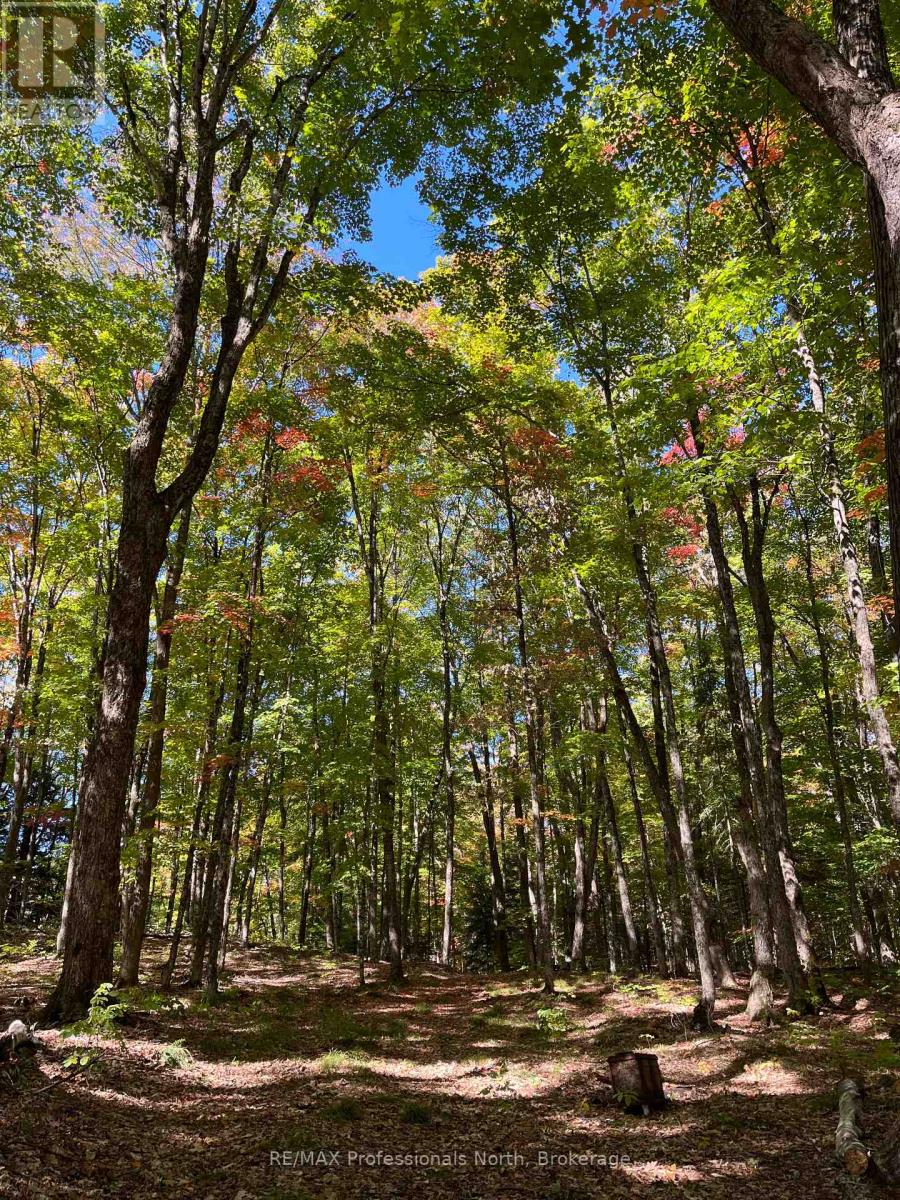 1645 South Lake Road, Minden Hills, Ontario  K0M 2K0 - Photo 15 - X13048122