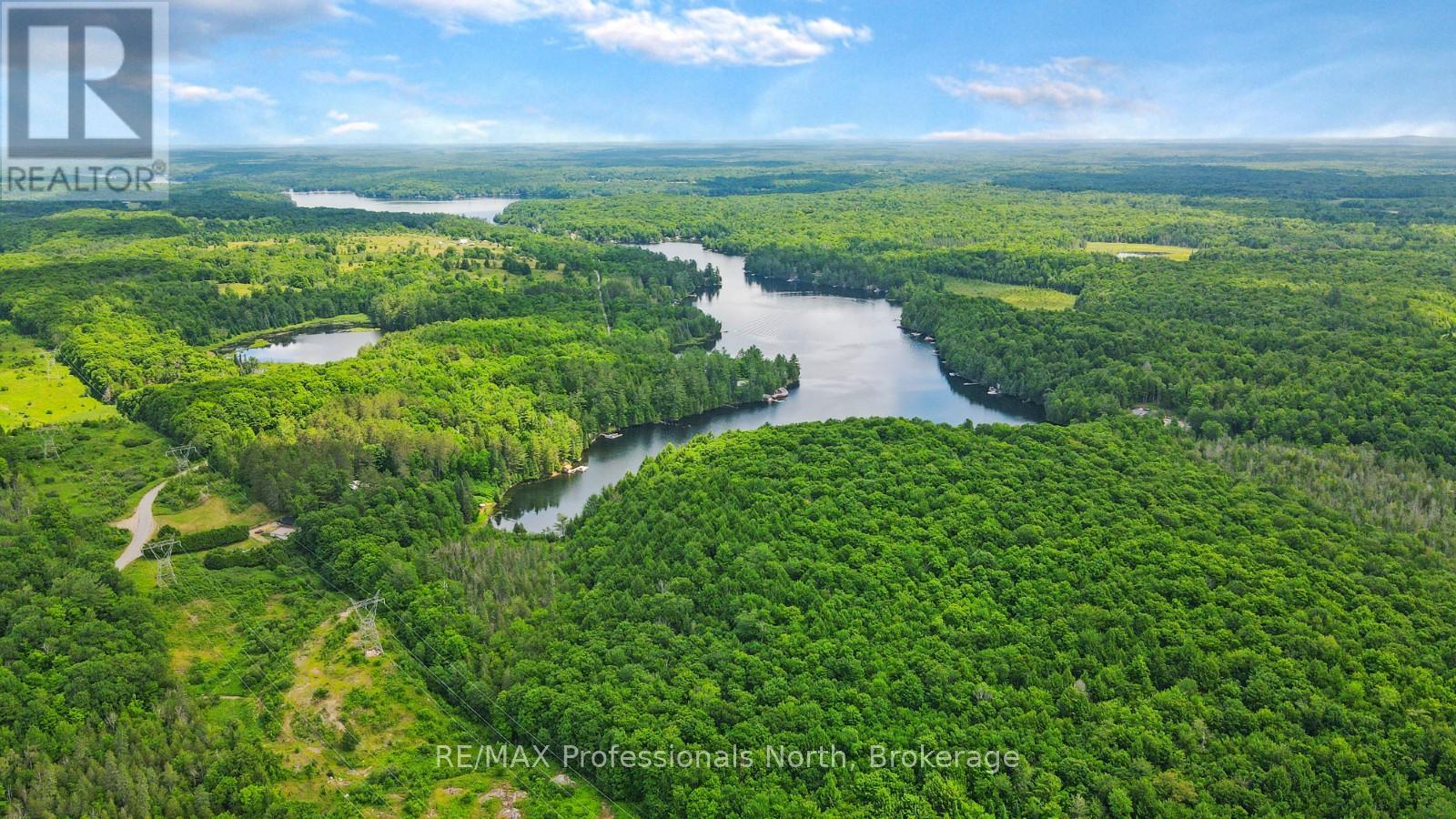 1645 South Lake Road, Minden Hills, Ontario  K0M 2K0 - Photo 4 - X13048122