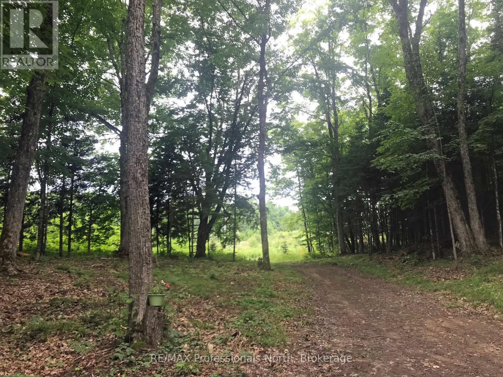 1645 South Lake Road, Minden Hills, Ontario  K0M 2K0 - Photo 6 - X13048122