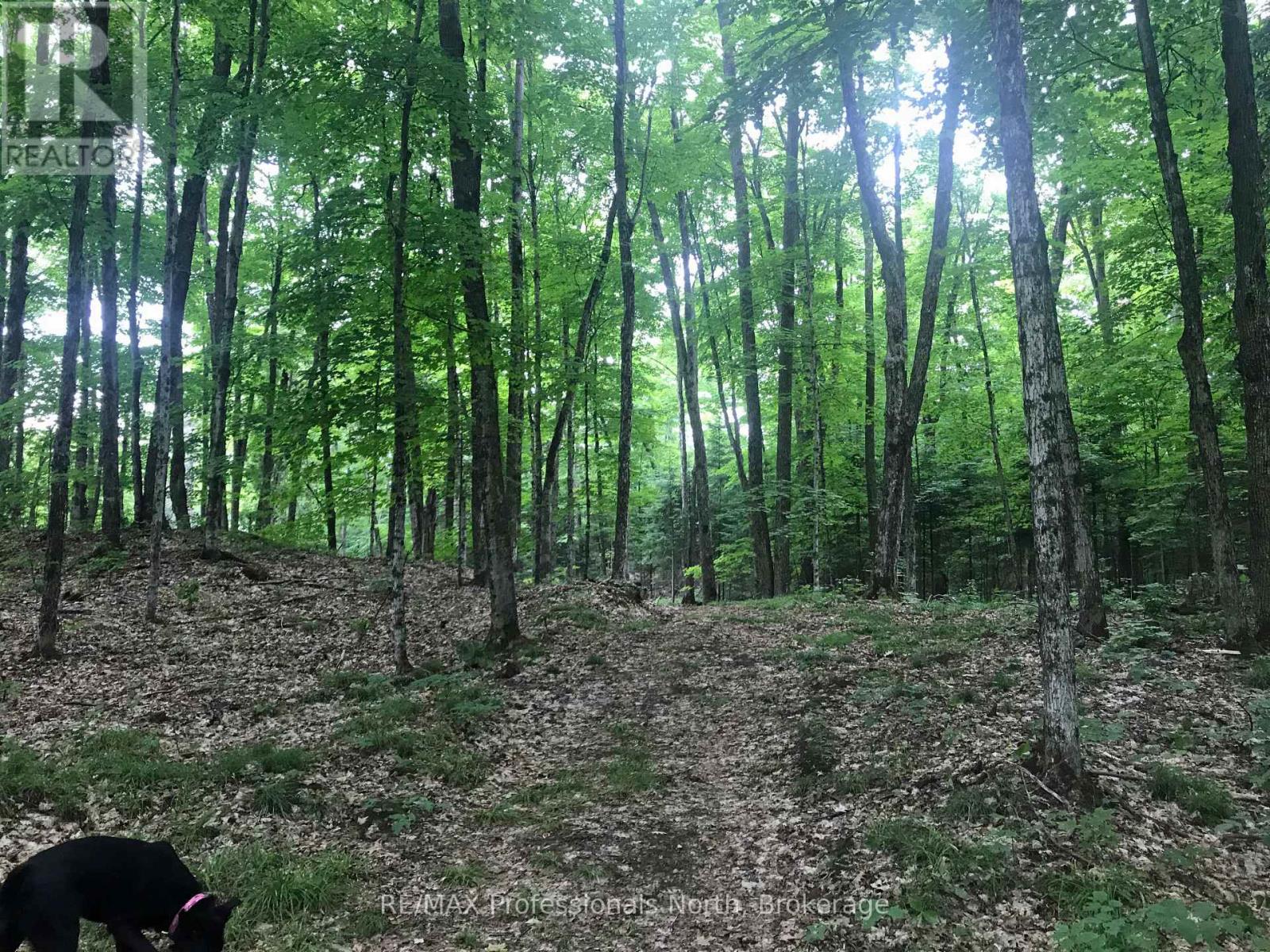 1645 South Lake Road, Minden Hills, Ontario  K0M 2K0 - Photo 7 - X13048122