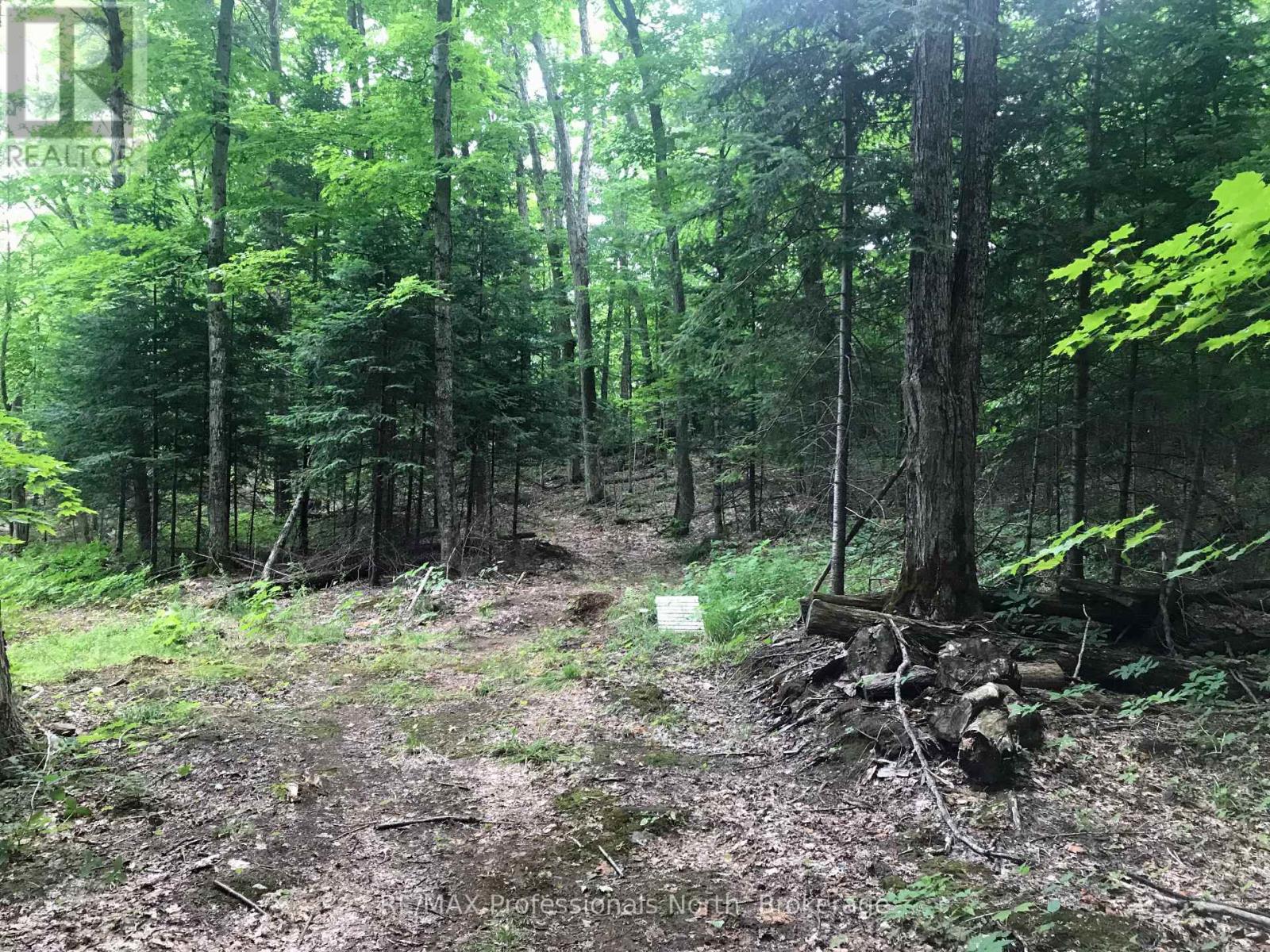 1645 South Lake Road, Minden Hills, Ontario  K0M 2K0 - Photo 8 - X13048122