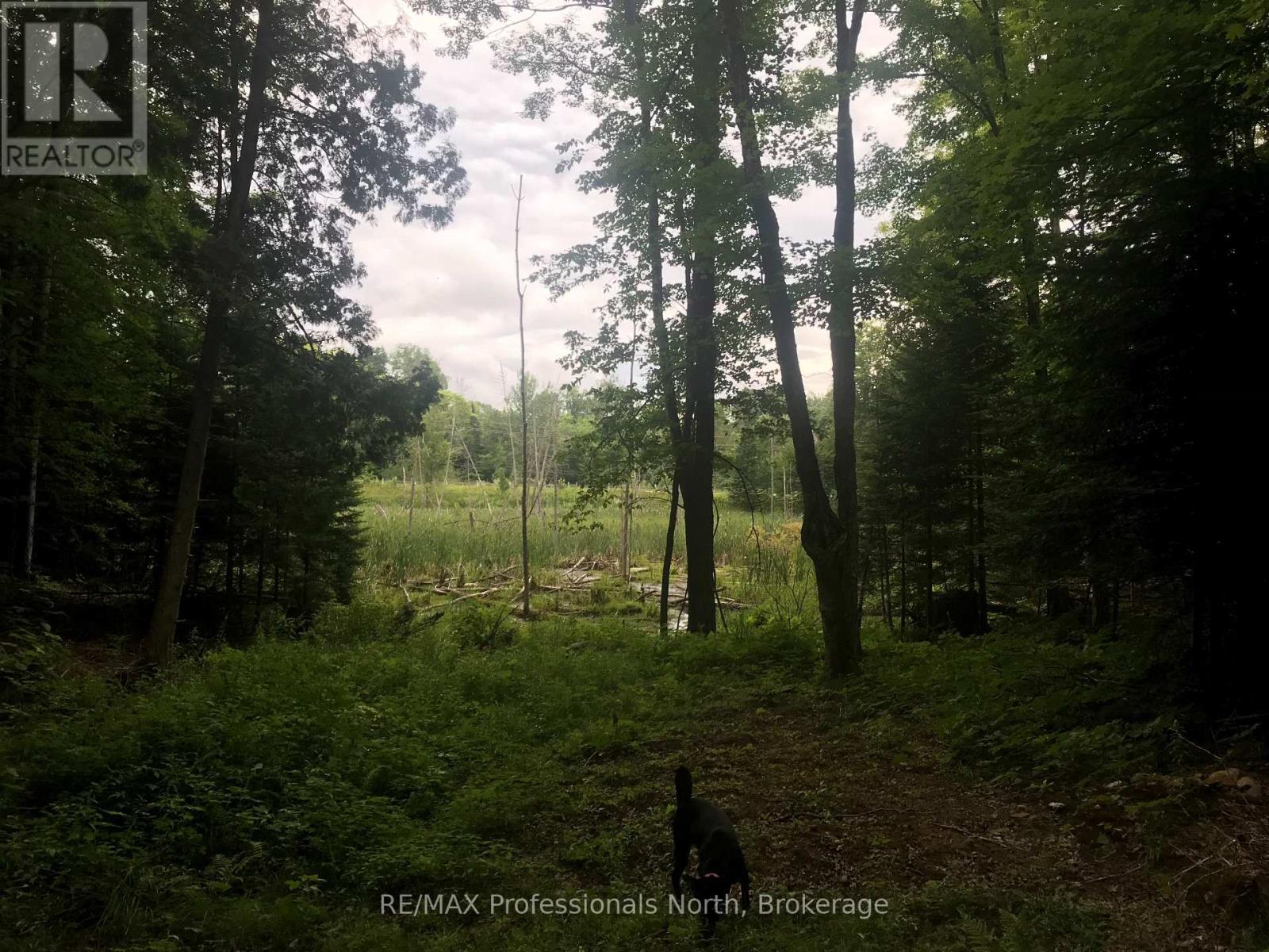 1645 South Lake Road, Minden Hills, Ontario  K0M 2K0 - Photo 9 - X13048122