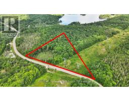 1645 SOUTH LAKE ROAD, minden hills (snowdon), Ontario