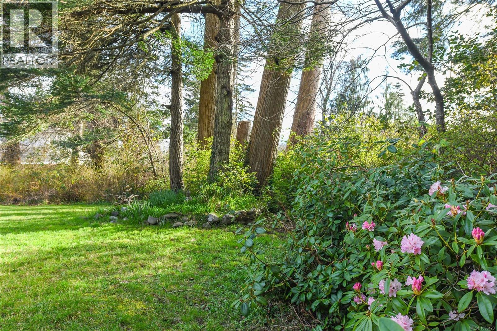 369 Douglas St, Comox, British Columbia  V9M 2C6 - Photo 10 - 1033423