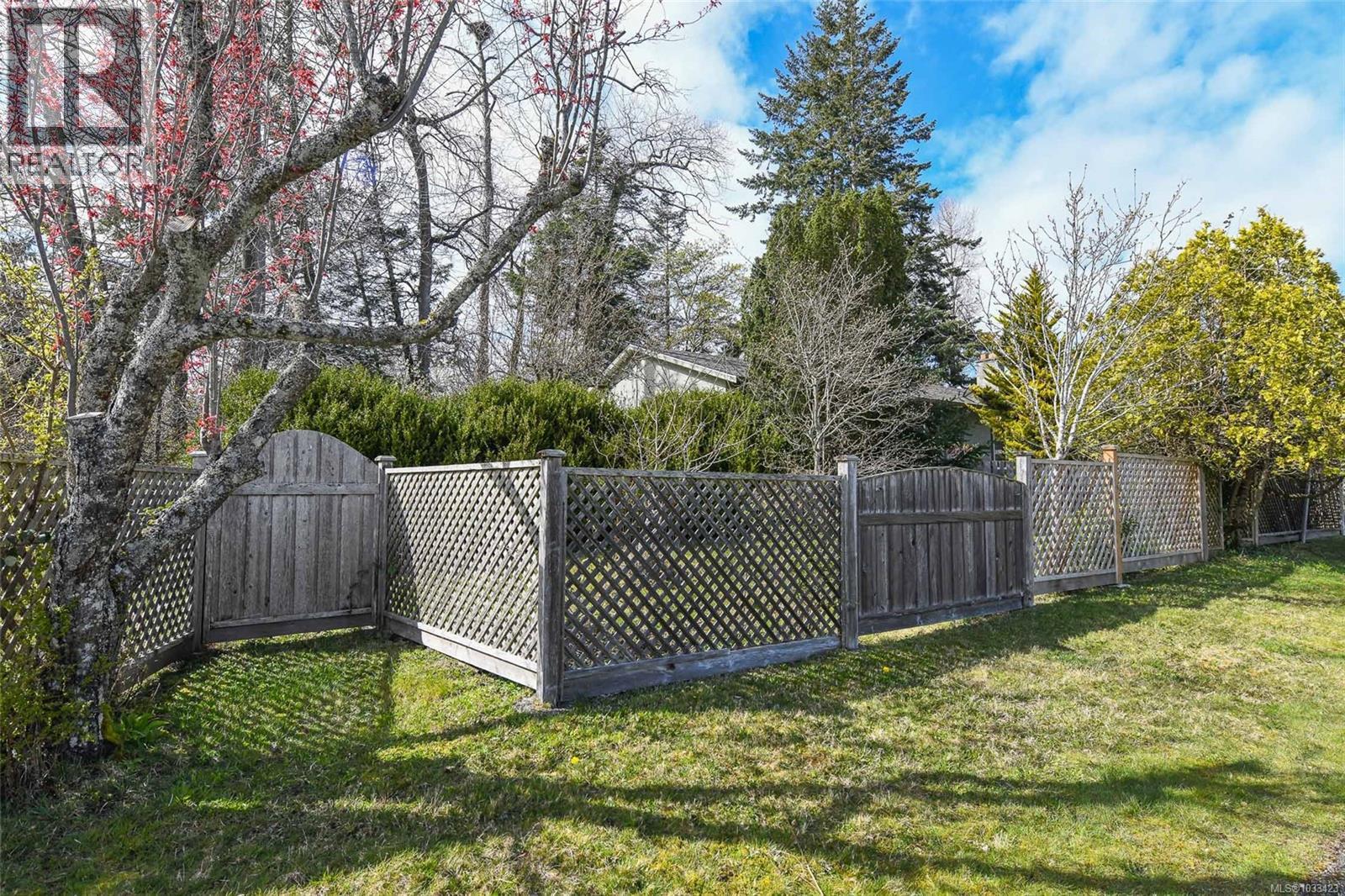 369 Douglas St, Comox, British Columbia  V9M 2C6 - Photo 12 - 1033423