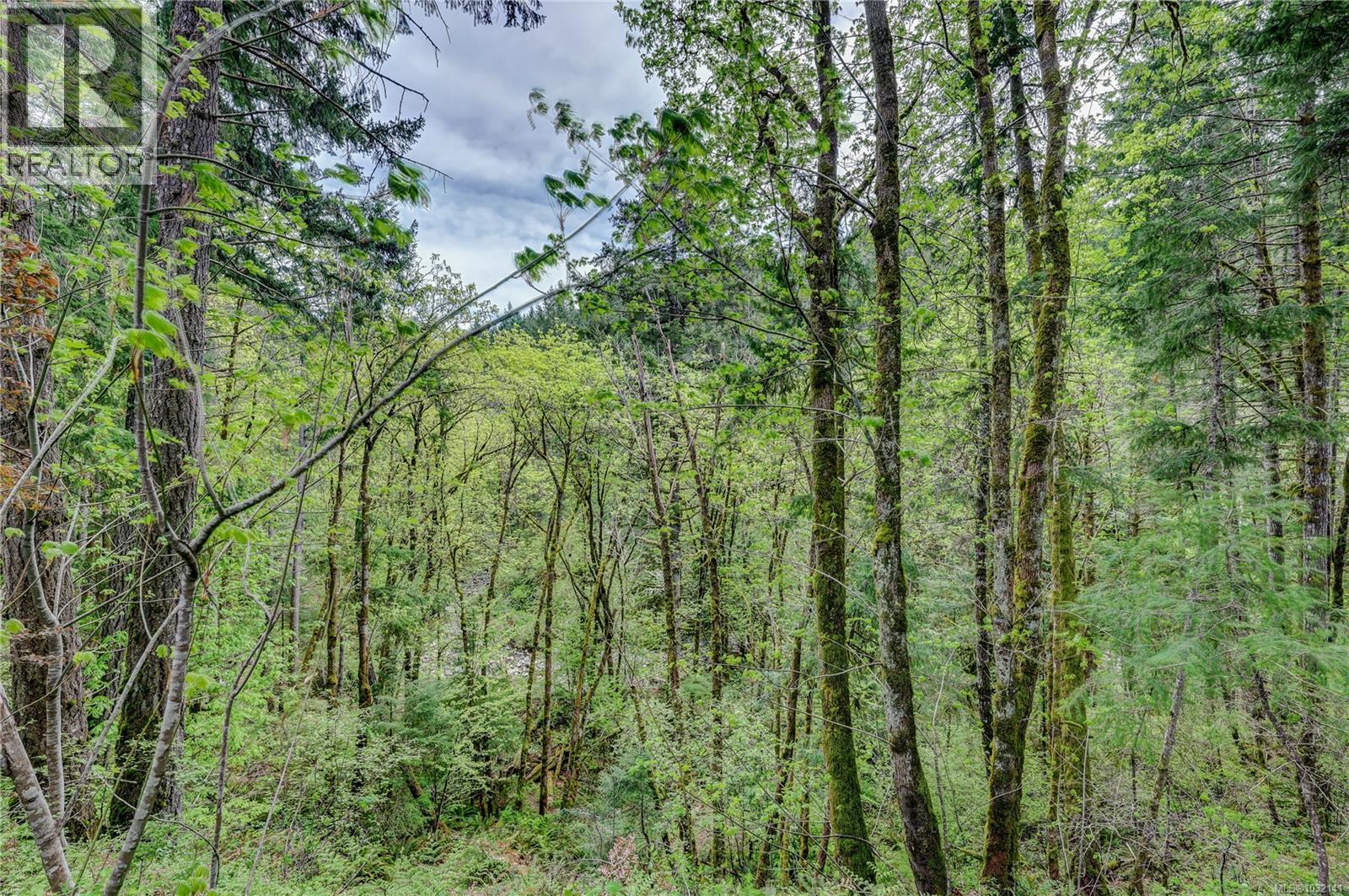 3531 12th Ave, Port Alberni, British Columbia  V9Y 4Z9 - Photo 37 - 1032141