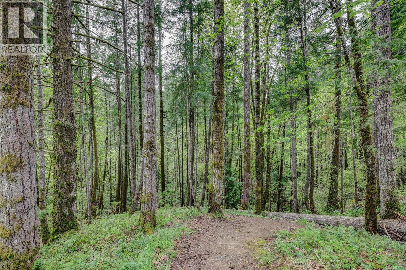 3531 12th Ave, Port Alberni, British Columbia  V9Y 4Z9 - Photo 38 - 1032141