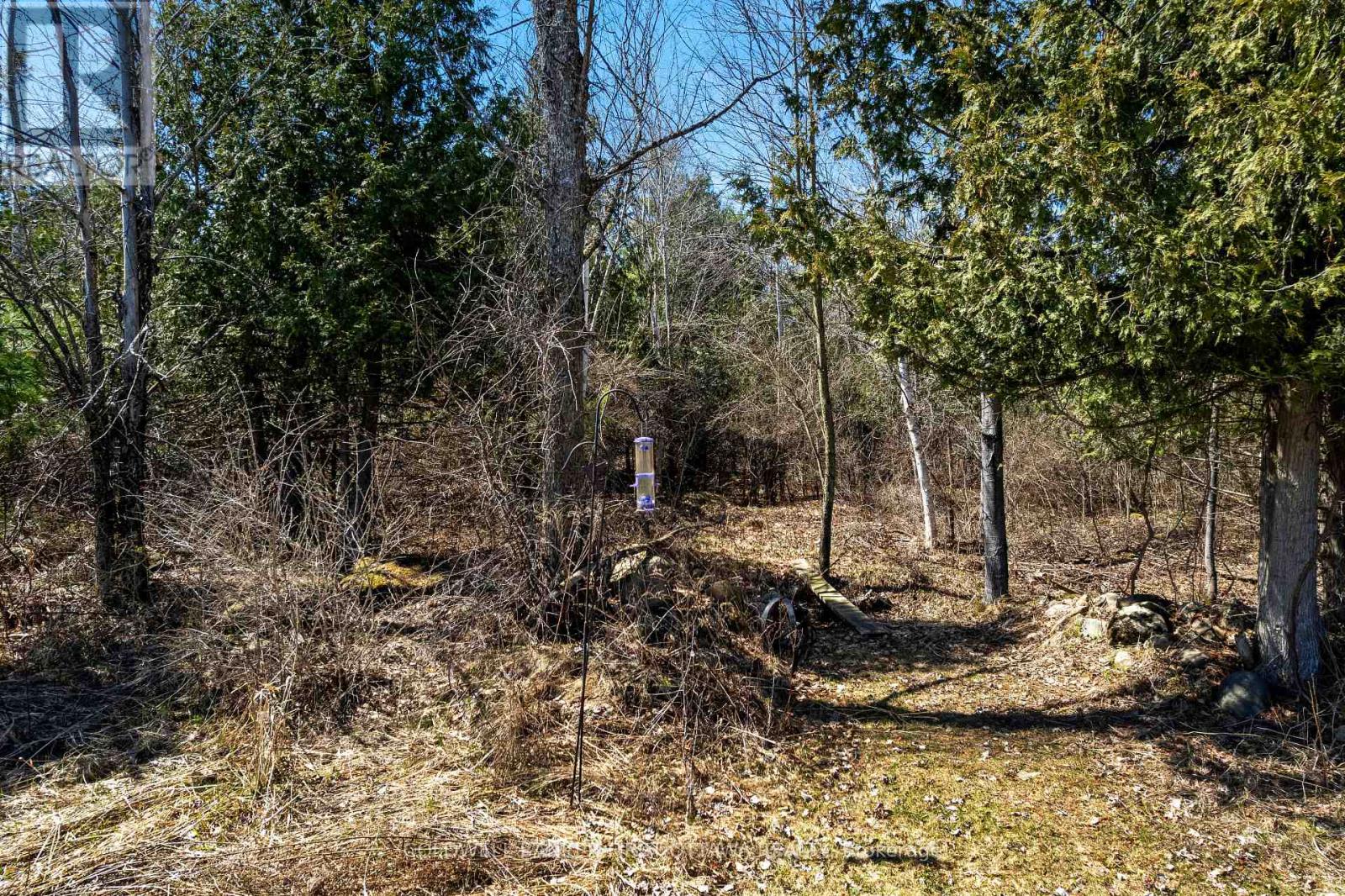 462 Althorpe Road, Tay Valley, Ontario  K7H 3C9 - Photo 35 - X12577646