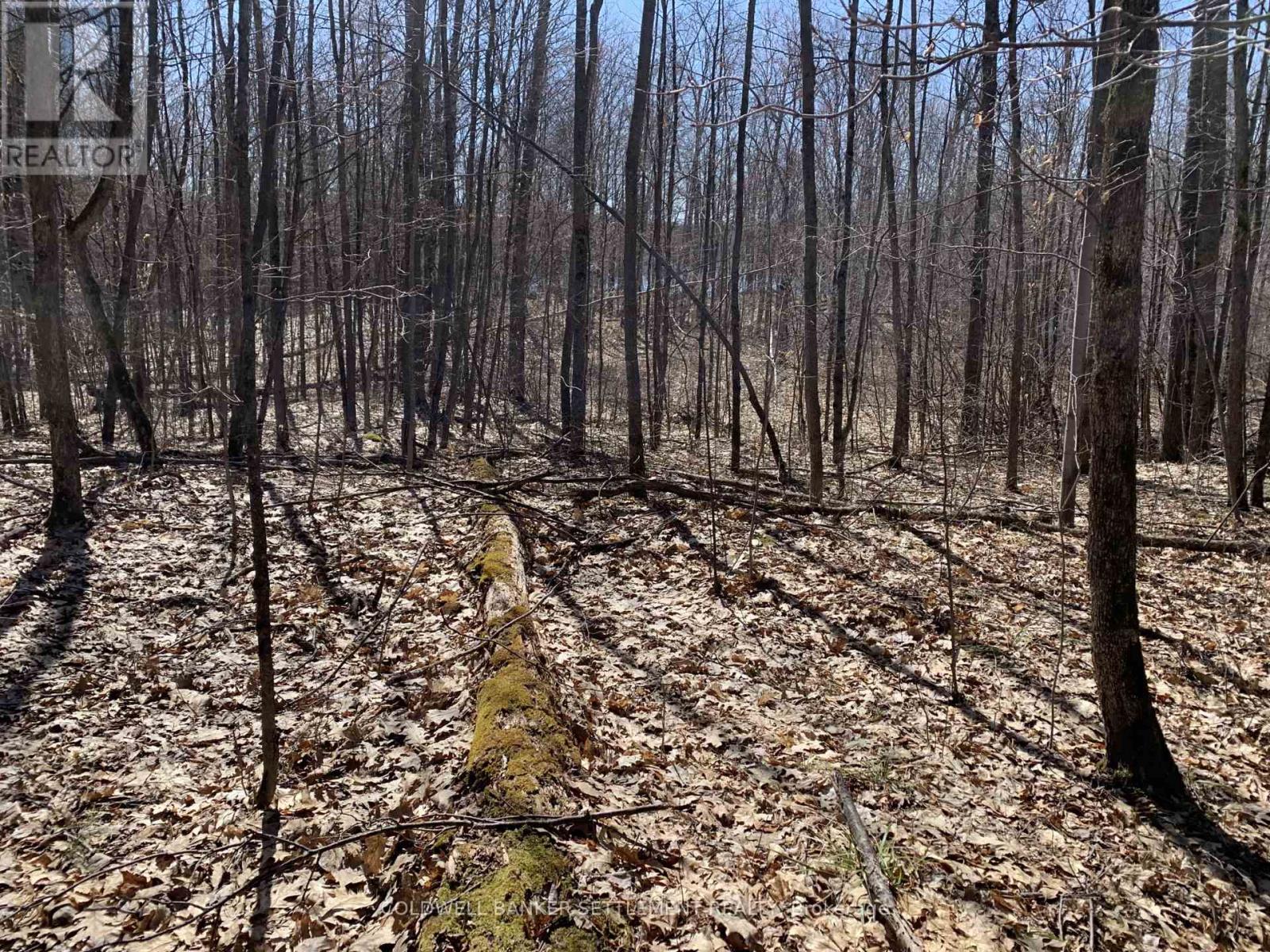 0 Red Pine Road, Tay Valley, Ontario  K0H 2B0 - Photo 17 - X12942490