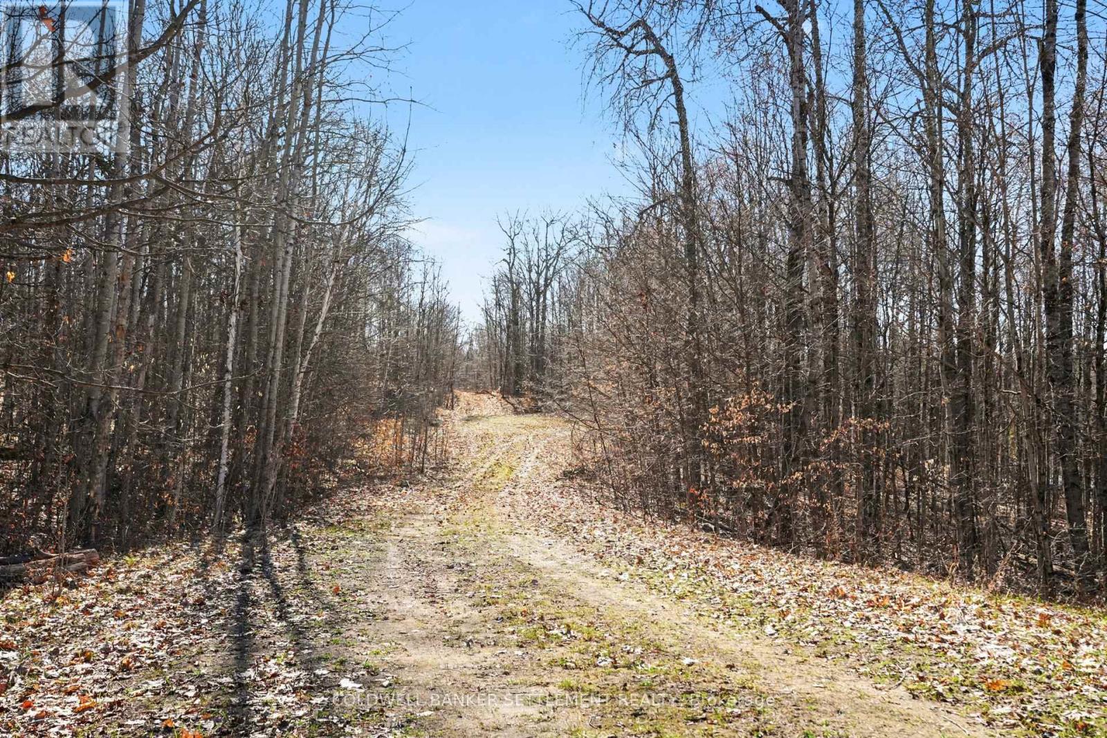 0 Red Pine Road, Tay Valley, Ontario  K0H 2B0 - Photo 19 - X12942490