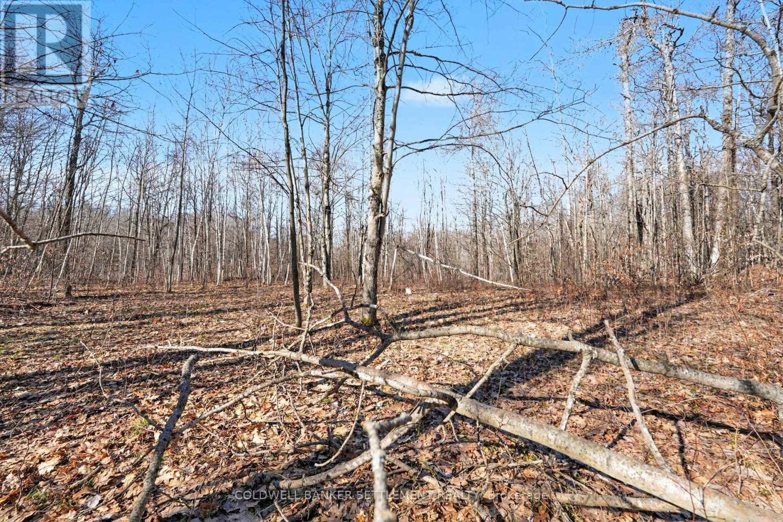 0 Red Pine Road, Tay Valley, Ontario  K0H 2B0 - Photo 20 - X12942490