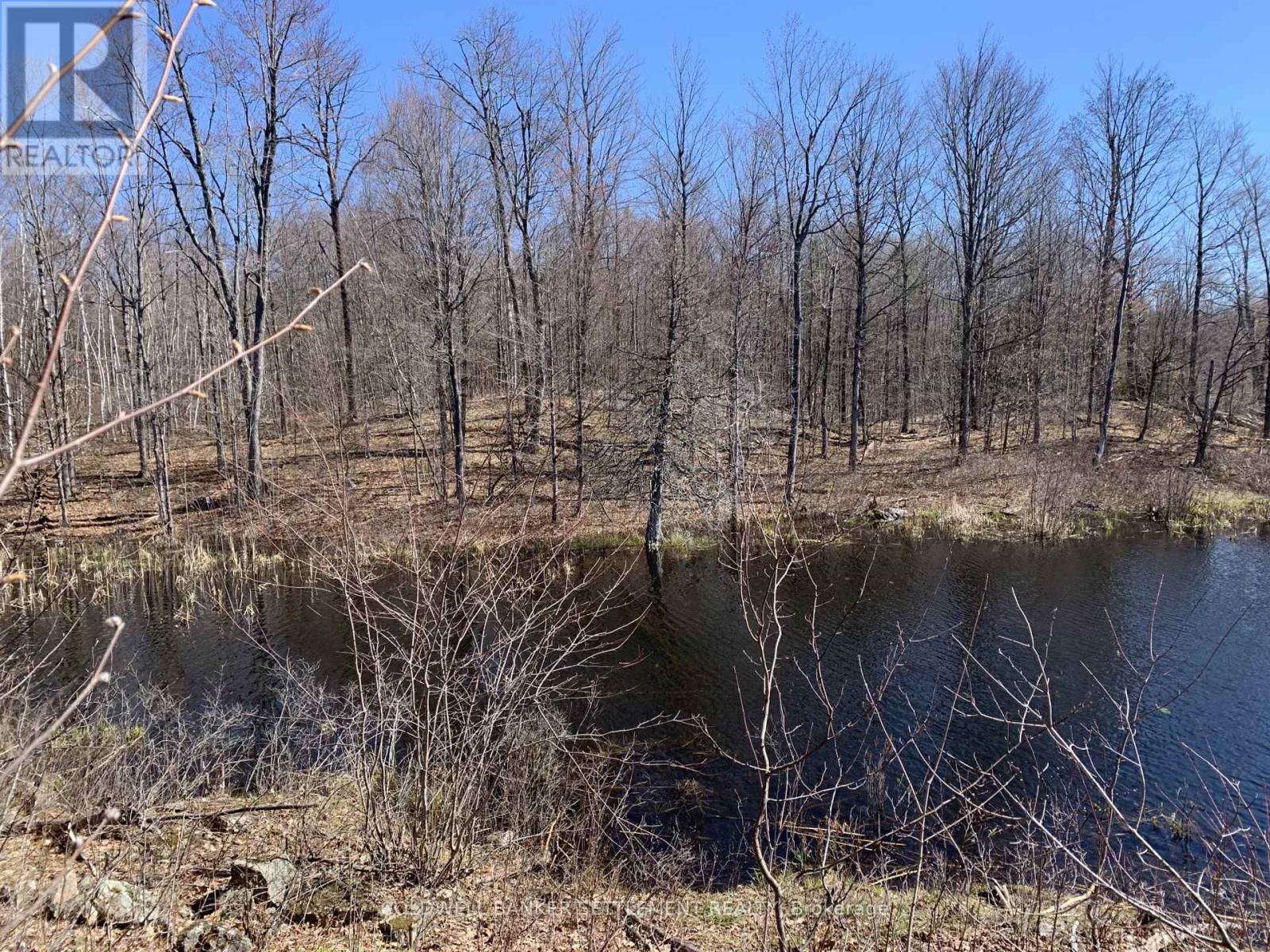 0 Red Pine Road, Tay Valley, Ontario  K0H 2B0 - Photo 13 - X12942490