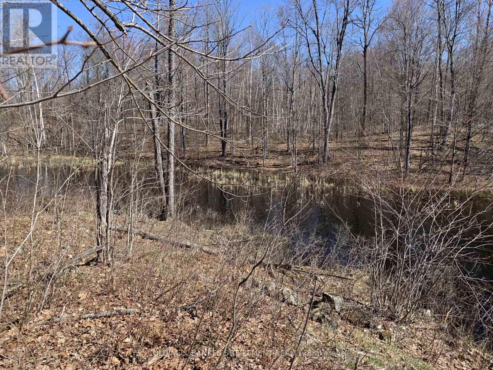 0 Red Pine Road, Tay Valley, Ontario  K0H 2B0 - Photo 14 - X12942490