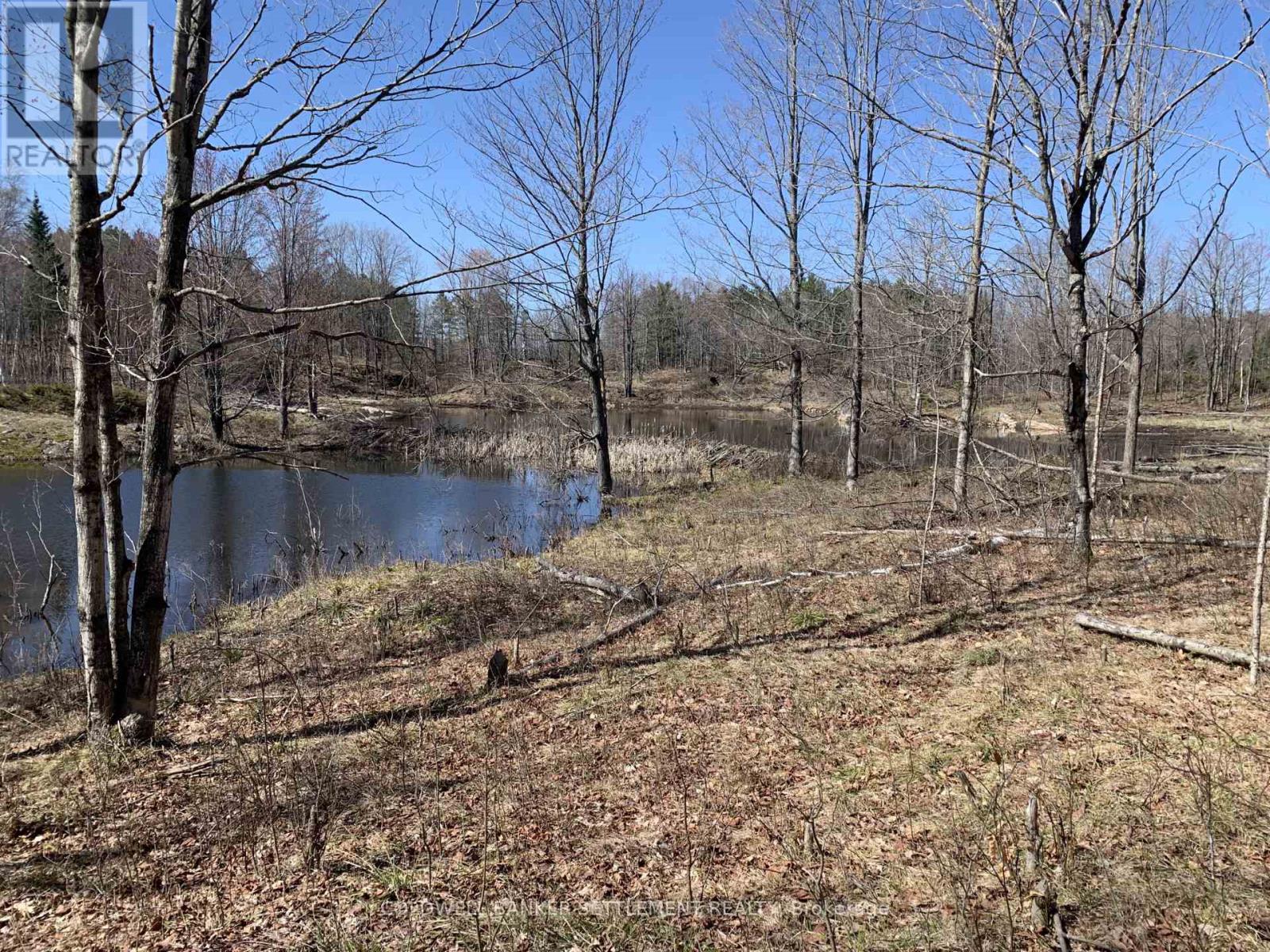 0 Red Pine Road, Tay Valley, Ontario  K0H 2B0 - Photo 11 - X12942490