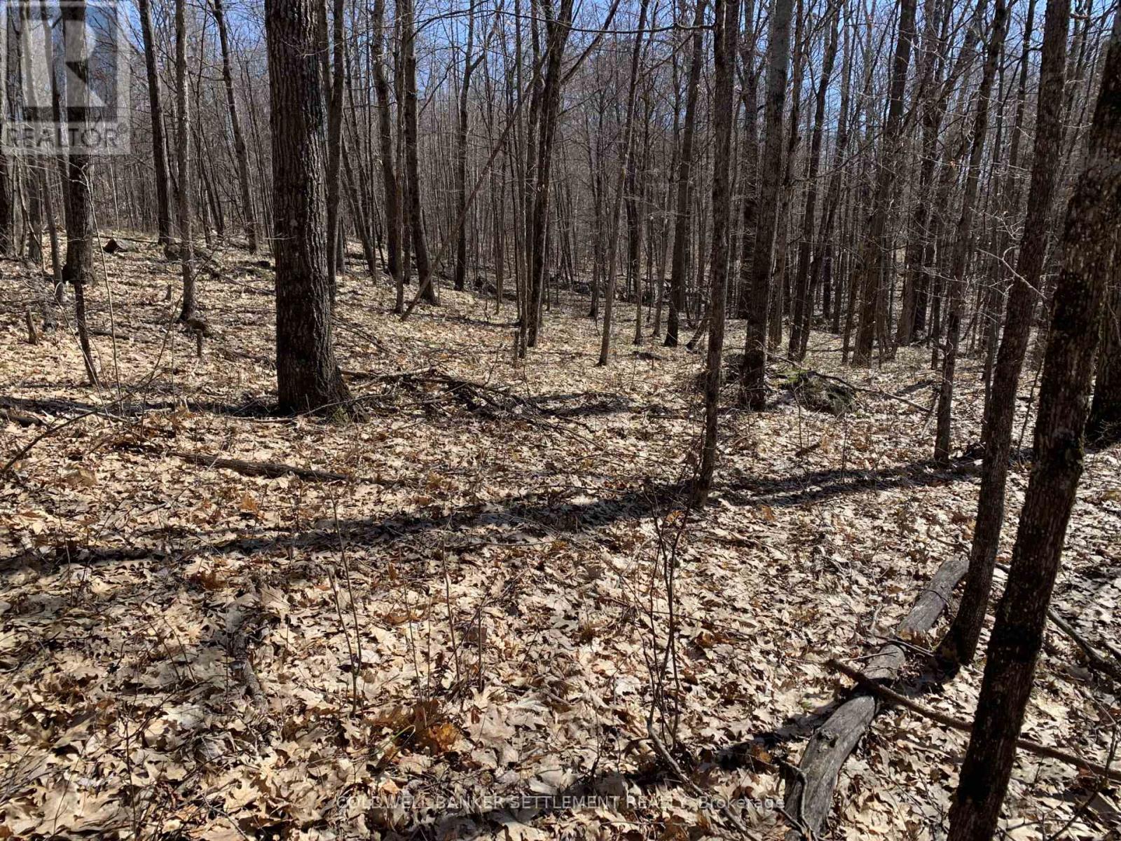 0 Red Pine Road, Tay Valley, Ontario  K0H 2B0 - Photo 18 - X12942490