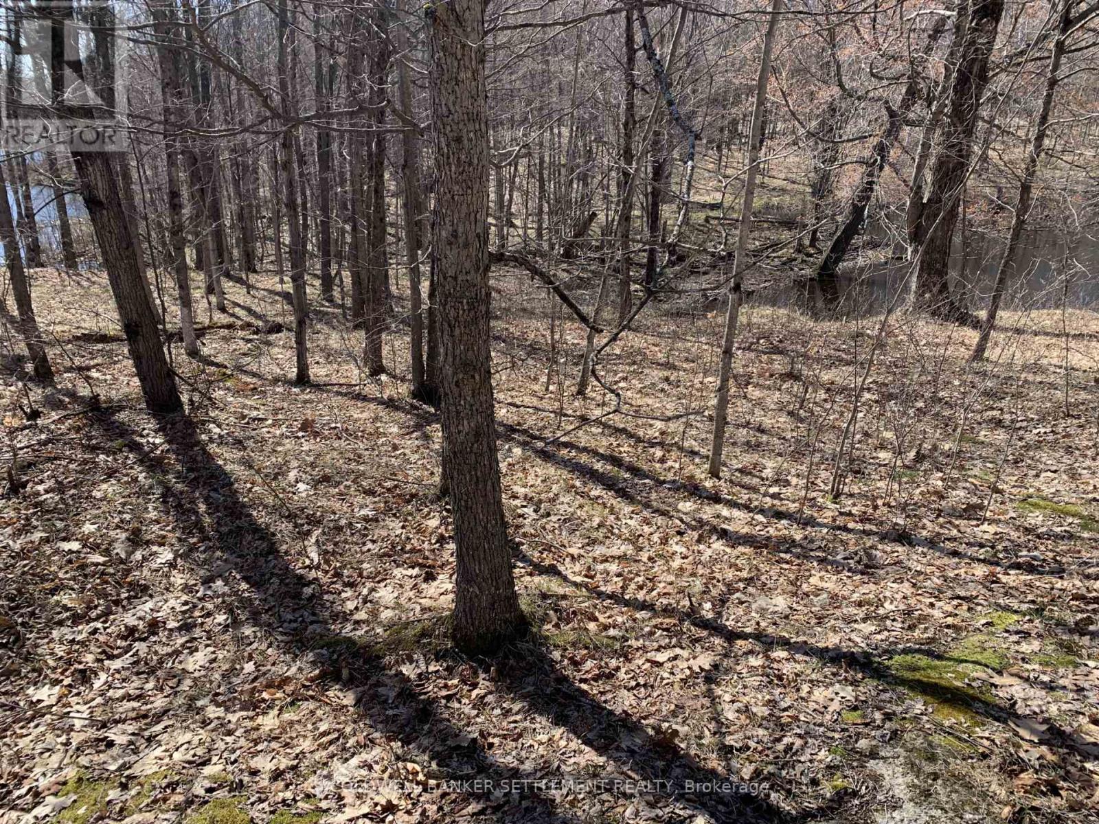 0 Red Pine Road, Tay Valley, Ontario  K0H 2B0 - Photo 12 - X12942490