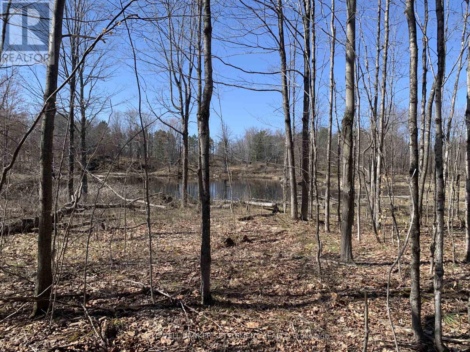 0 Red Pine Road, Tay Valley, Ontario  K0H 2B0 - Photo 16 - X12942490