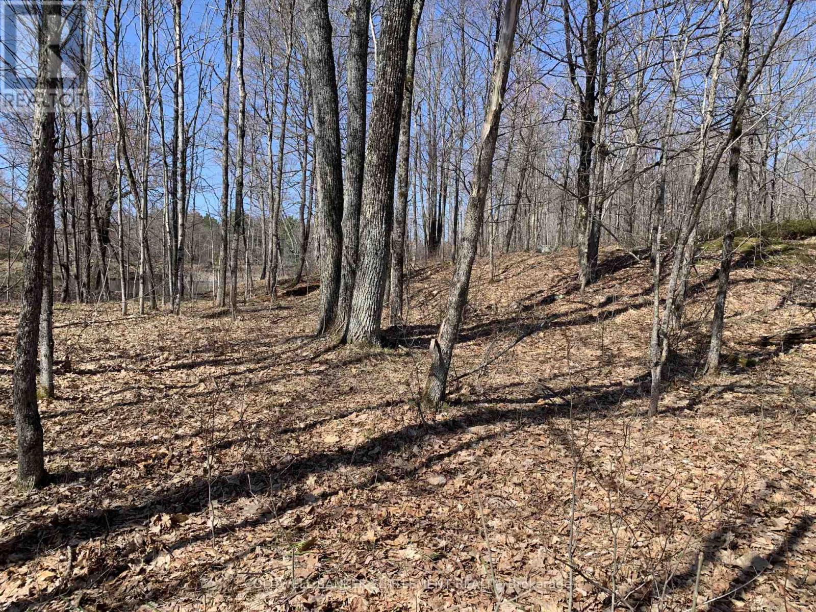 0 Red Pine Road, Tay Valley, Ontario  K0H 2B0 - Photo 15 - X12942490