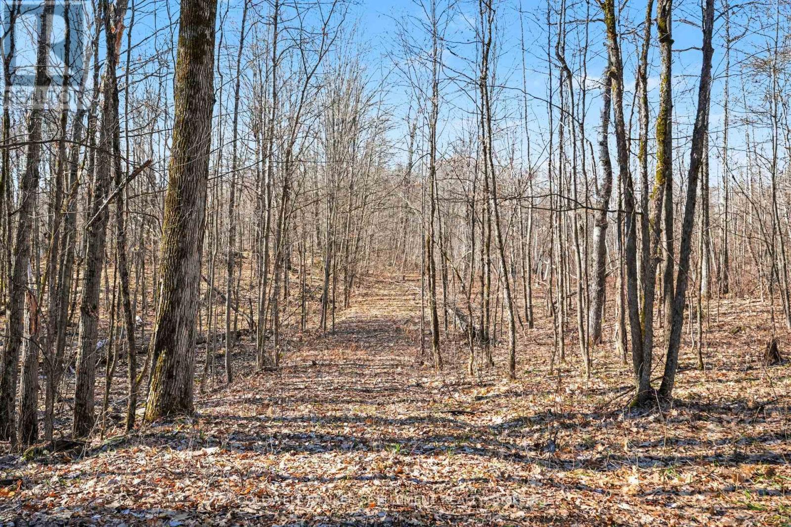 0 Red Pine Road, Tay Valley, Ontario  K0H 2B0 - Photo 2 - X12942490