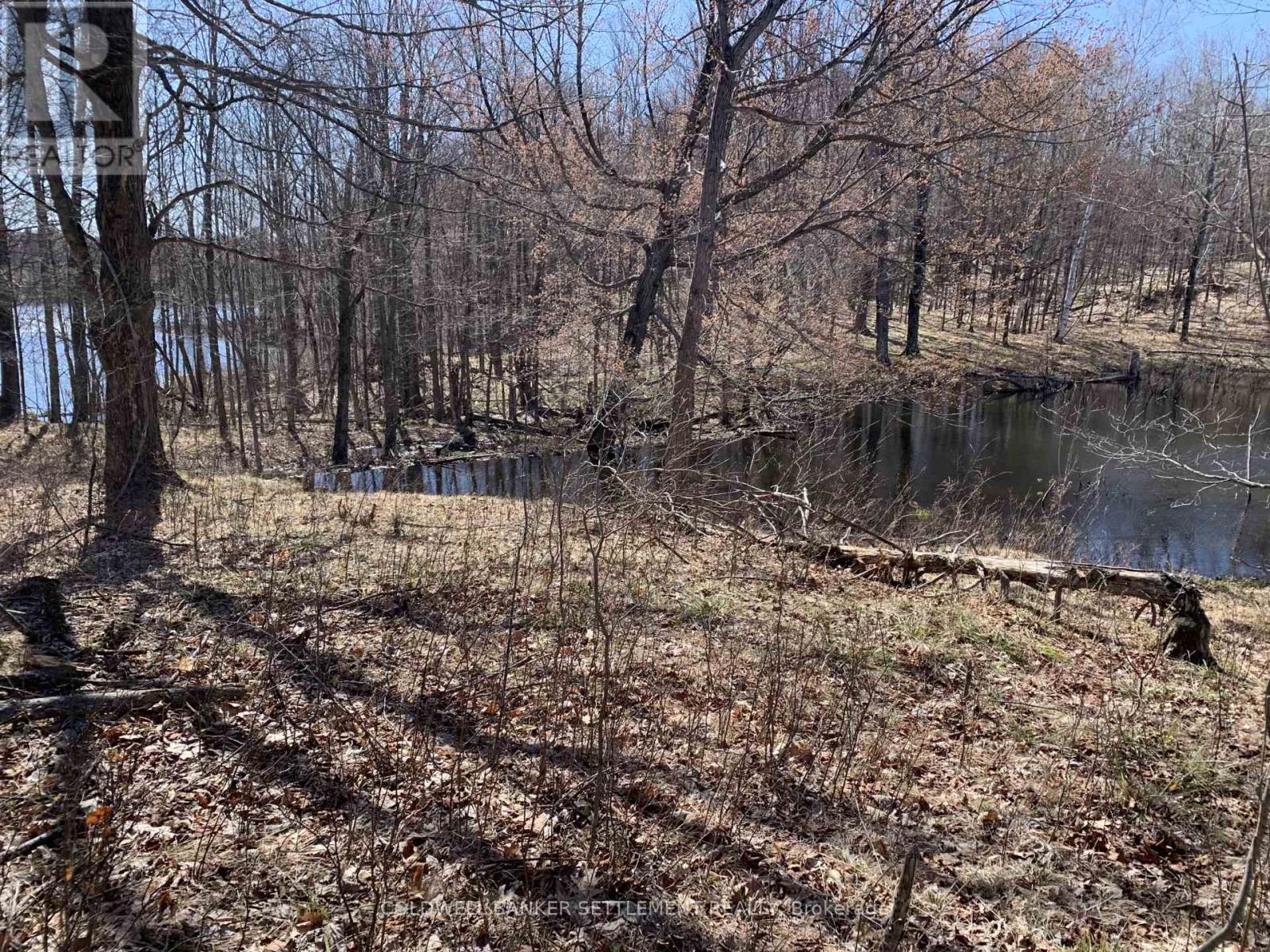 0 Red Pine Road, Tay Valley, Ontario  K0H 2B0 - Photo 10 - X12942490